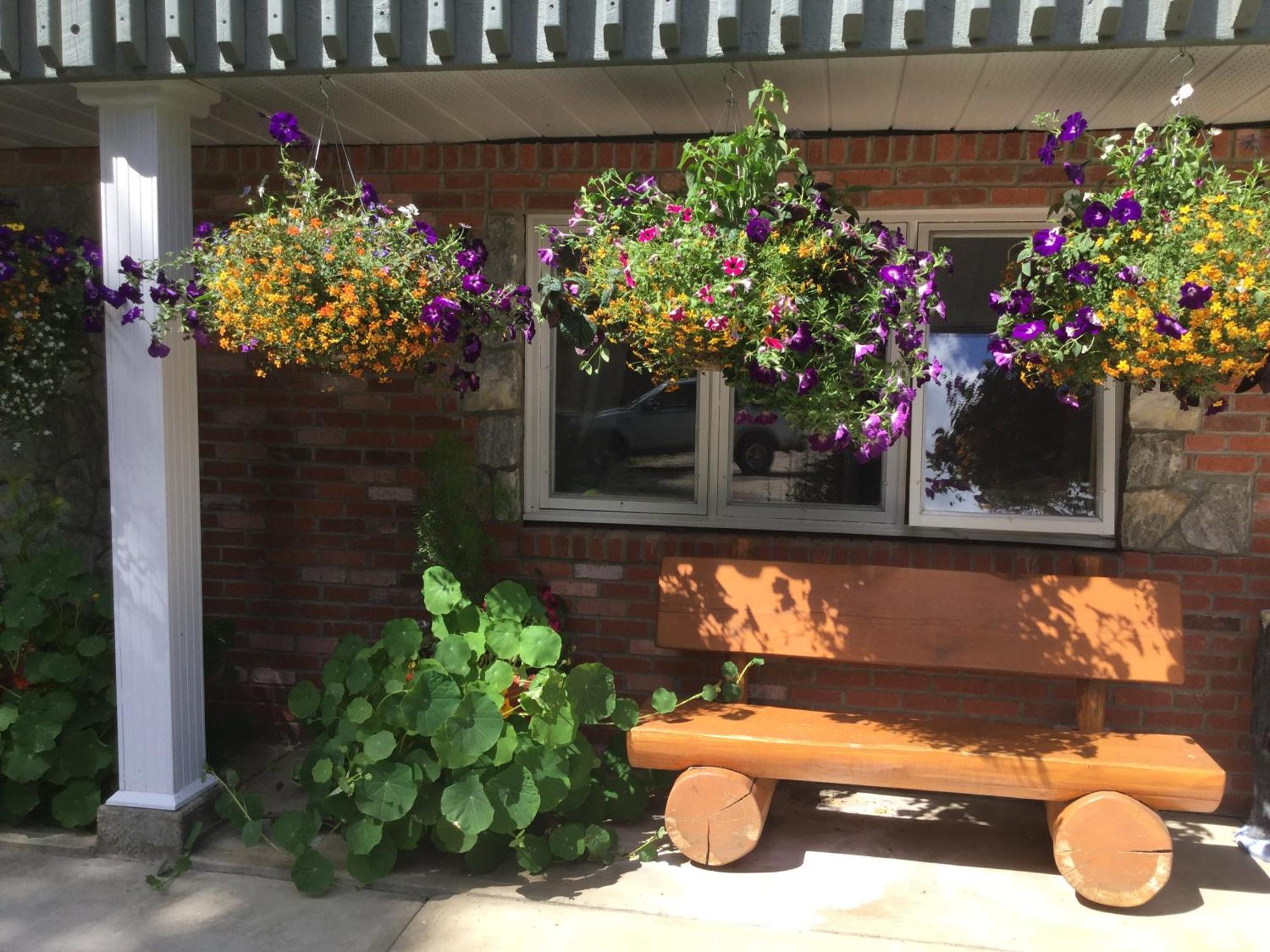 Dream Catcher Inn Valemount Exterior foto